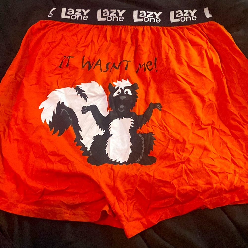 Novelty Lazyone Underwear (I wore them for nightshorts)